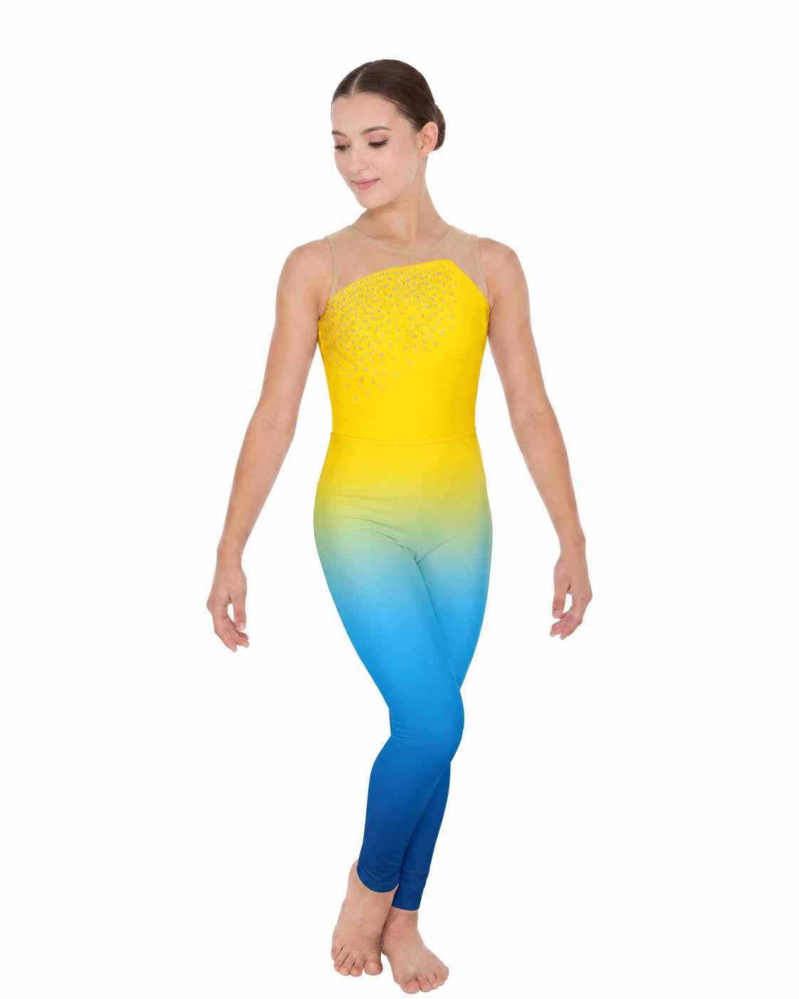 Custom Family Ombre Defined Unitard - No Midriff
