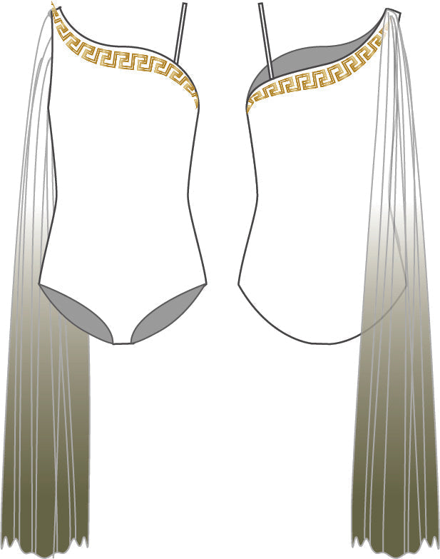 Custom Need a Hero Leotard with Sash