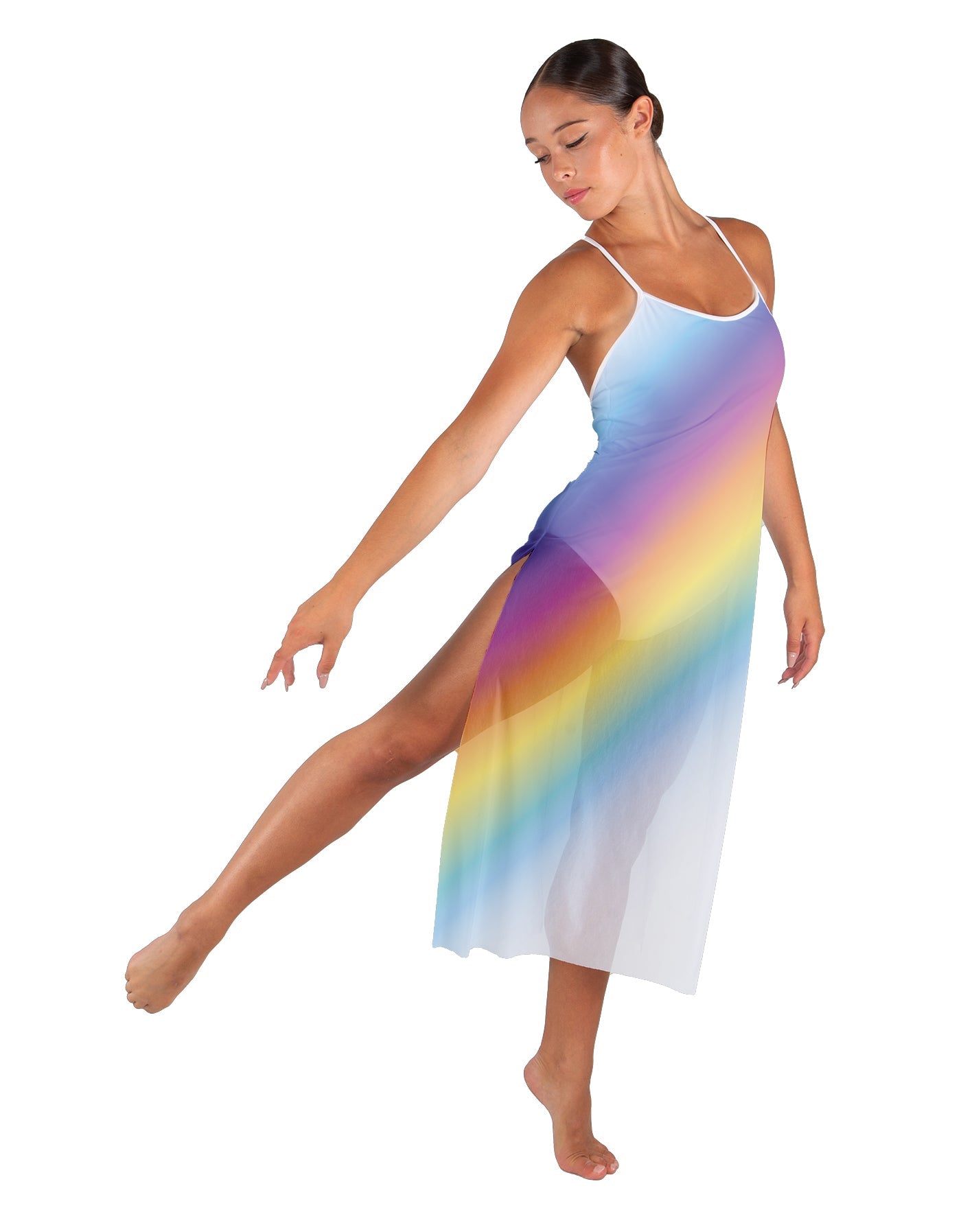 Rainbow Connection Long Chiffon Panel Dress