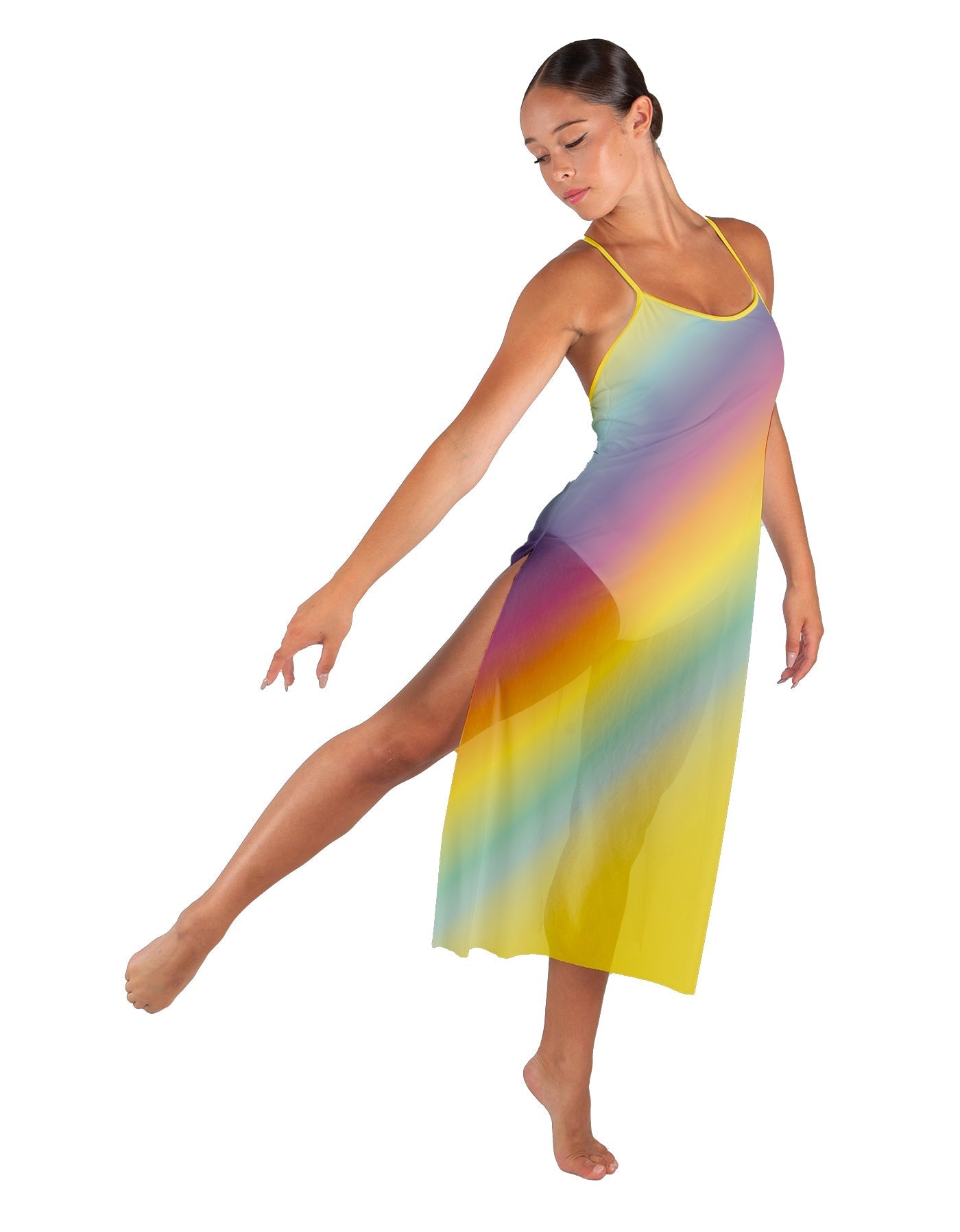 Rainbow Connection Long Chiffon Panel Dress