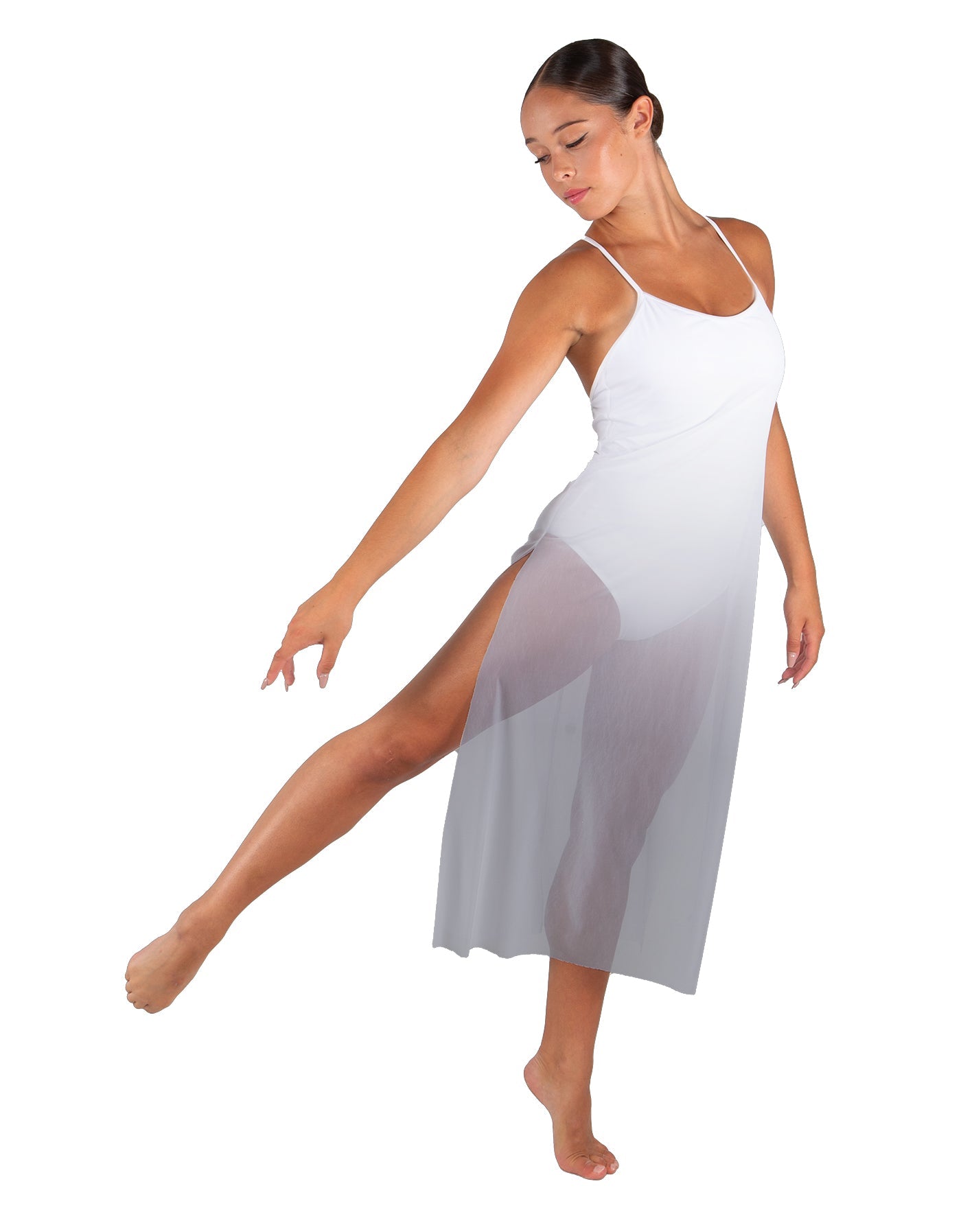 Poetic Long Chiffon Panel Dress