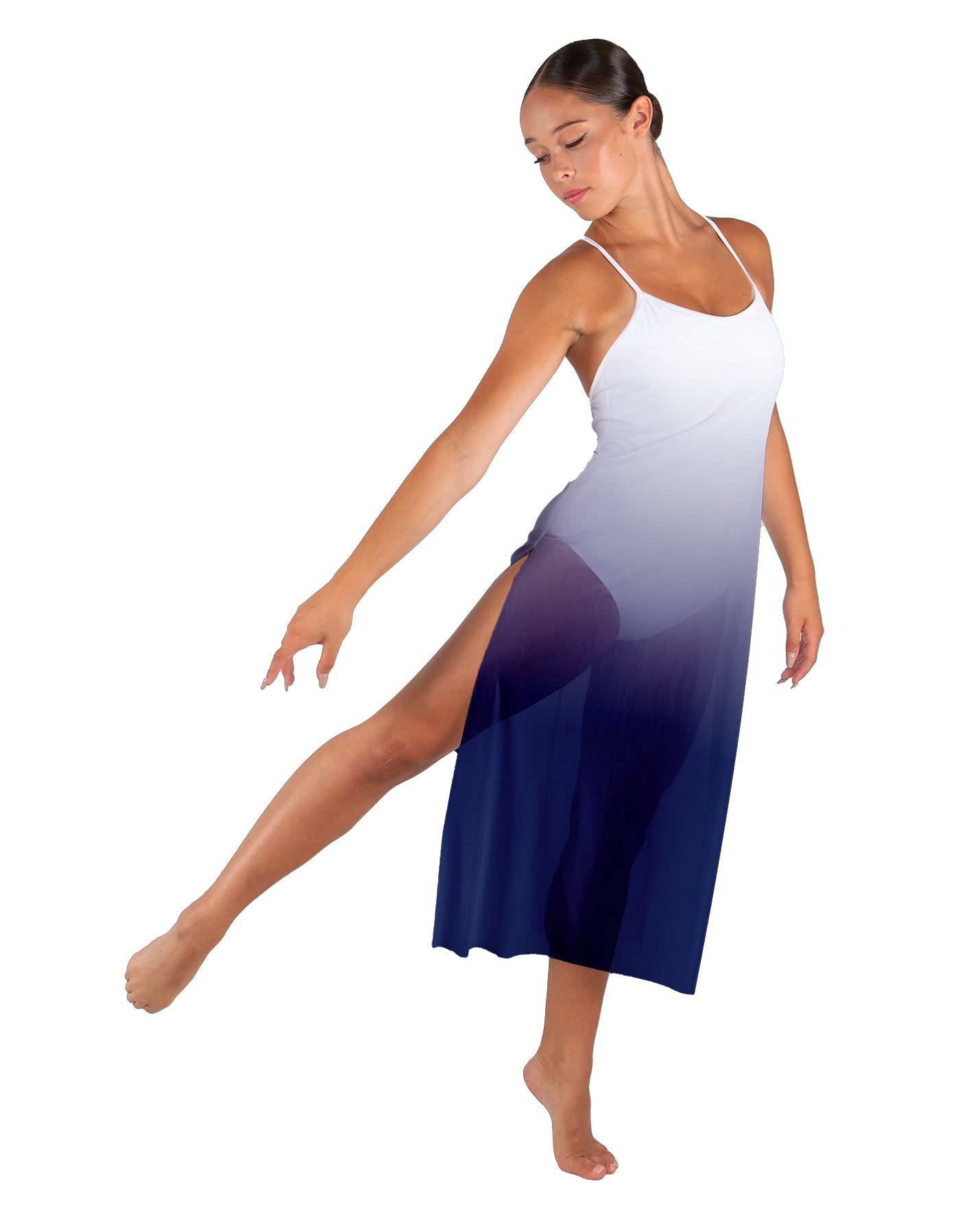 Poetic Long Chiffon Panel Dress