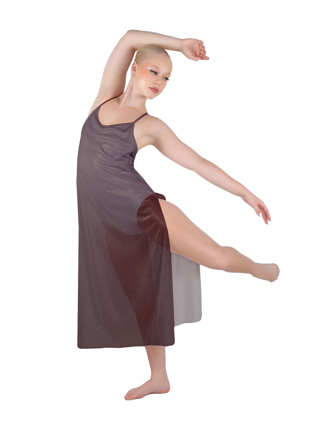 Solid Chiffon Long Panel Dress