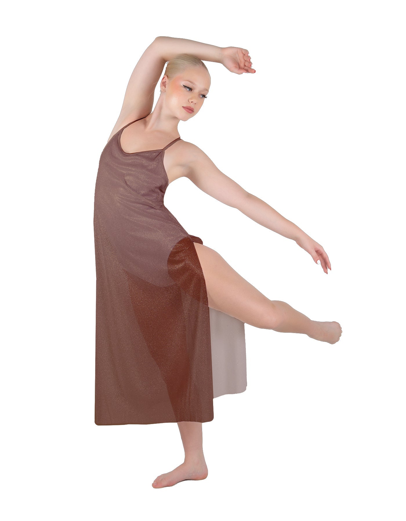 Solid Chiffon Long Panel Dress