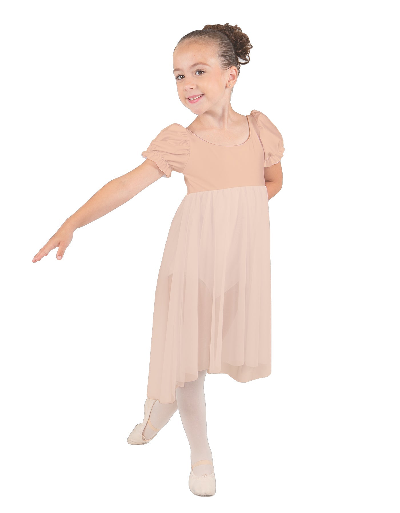 Wendy Puff Sleeve Dress with Chiffon