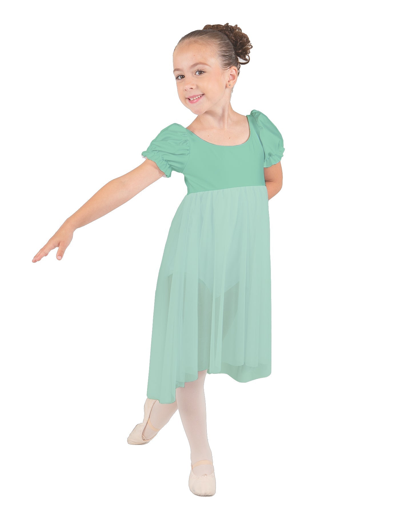 Wendy Puff Sleeve Dress with Chiffon