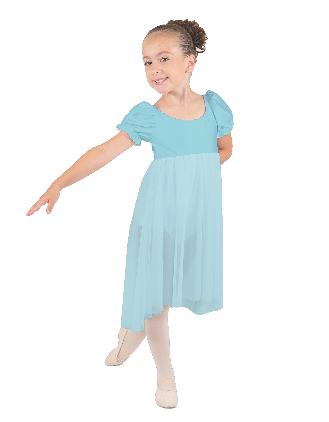 Wendy Puff Sleeve Dress with Chiffon