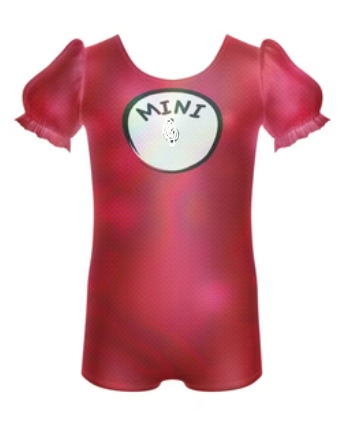 Custom Mini Lycra Puff Sleeve Biketard #8