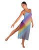 Rainbow Connection Long Chiffon Panel Dress