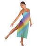 Rainbow Connection Long Chiffon Panel Dress