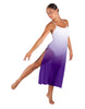 Poetic Long Chiffon Panel Dress