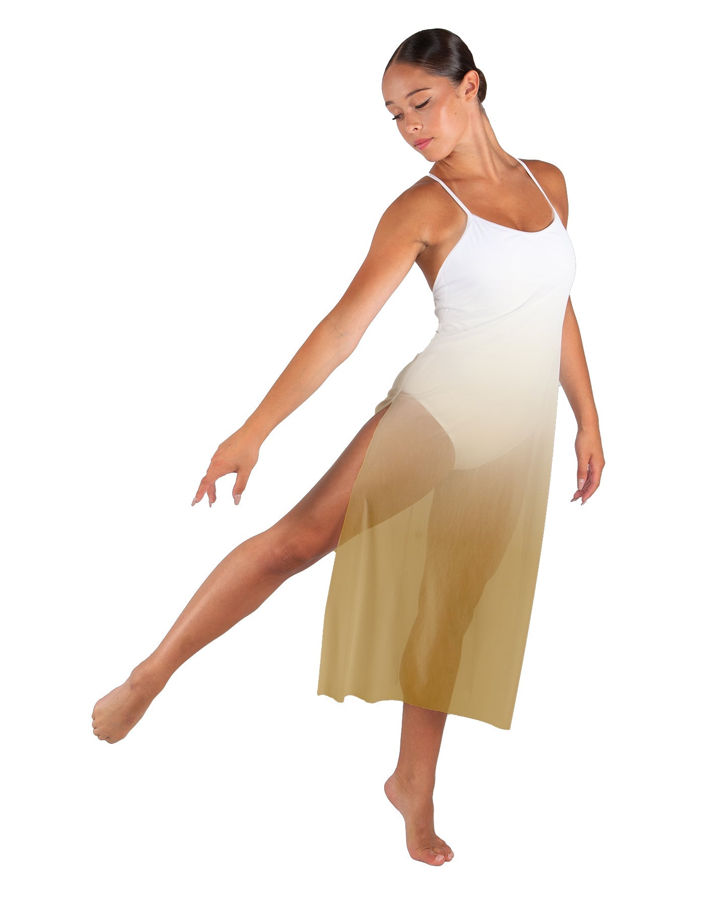 Poetic Long Chiffon Panel Dress