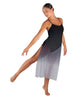 Soulful Long Chiffon Panel Dress