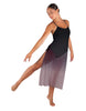 Soulful Long Chiffon Panel Dress