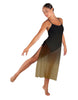 Soulful Long Chiffon Panel Dress