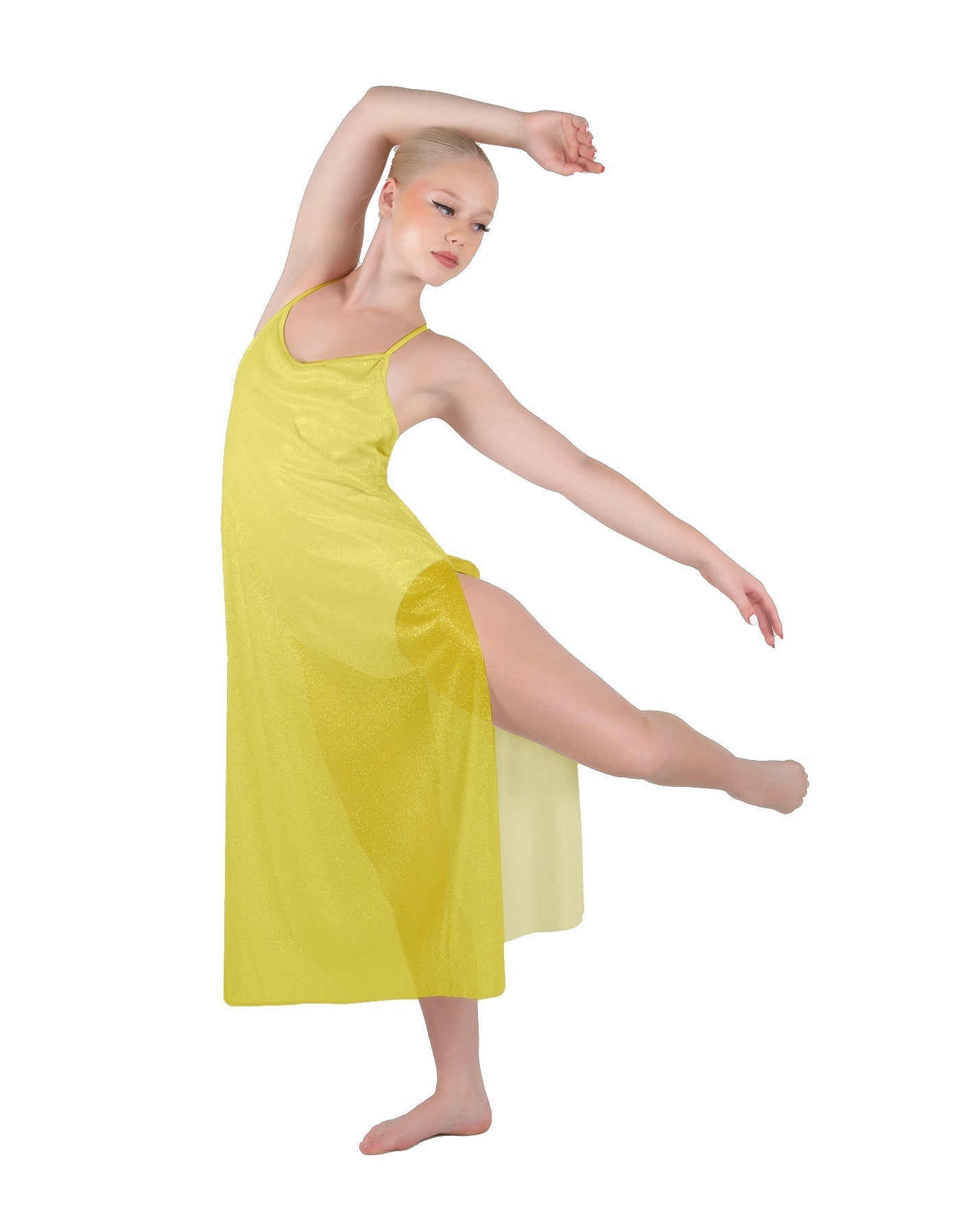 Solid Chiffon Long Panel Dress
