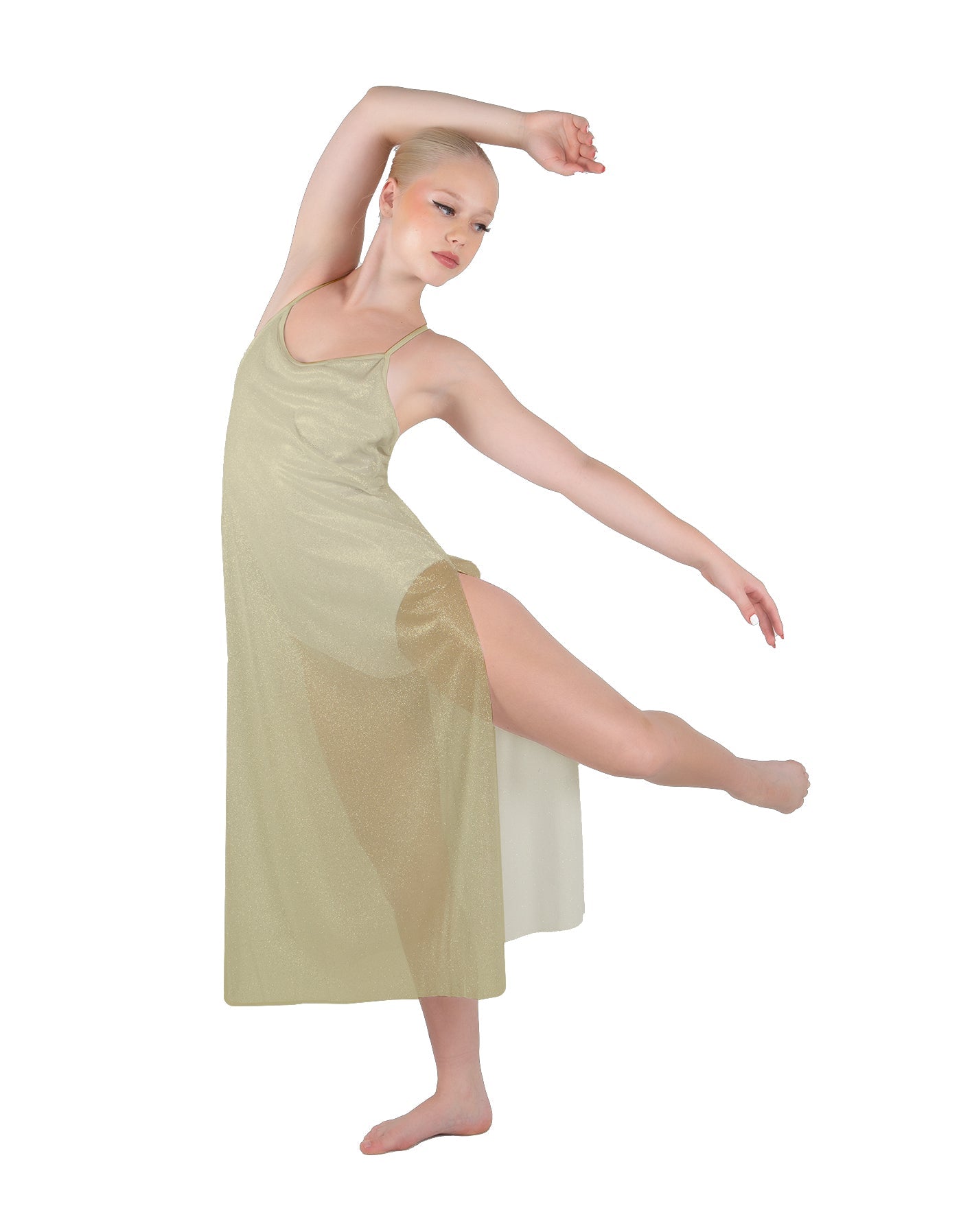 Solid Chiffon Long Panel Dress