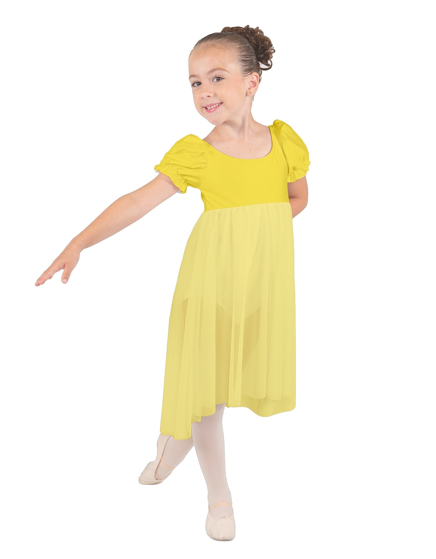 Wendy Puff Sleeve Dress with Chiffon