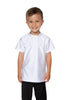 Solid Lycra Boys Shirt
