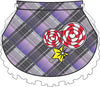 Lollipop Kids Pettibustle with Top Skirt