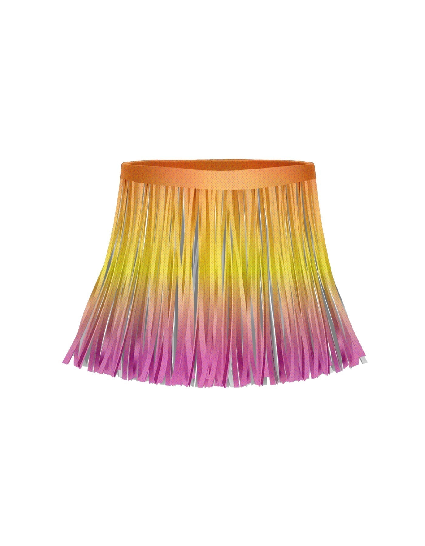 Ombre Brights Fringe Skirt