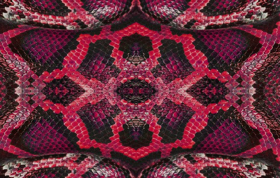 Snake Fabric 1 Yard