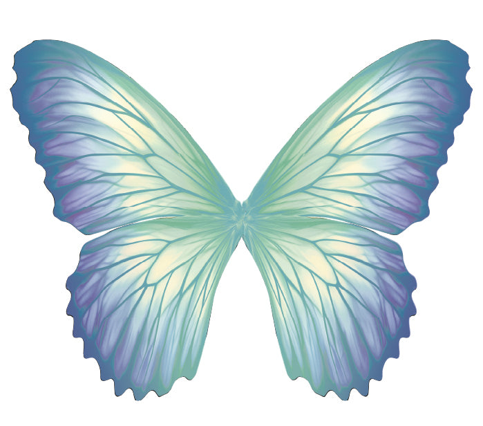 Custom Palmer High School Fairy Wings - Large Butterfly with Sticks