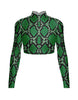 shamrock