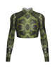 moss