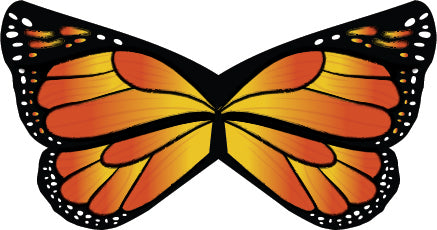 Custom Caterpillar to Butterfly Wings - Large Butterfly with Sticks - Silk