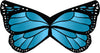 Custom Caterpillar to Butterfly Wings - Large Butterfly