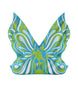 Enchanted Fairy Wings