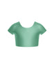 Solid Lycra Cap Sleeve Crop Top