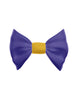 Lil Monkey Hair Bow