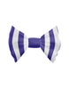 Candy Stripes Hair Bow