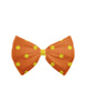 Surfin USA Bum Bow