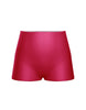 Lycra High Waisted Shorts