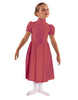 Solid Lycra T Neck Puff Sleeve Dress Below Knee Zipper back