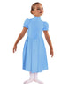 Solid Lycra T Neck Puff Sleeve Dress Below Knee Zipper back