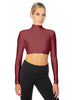 Solid Lycra LS Tneck Triangle Back Crop Top