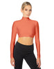 Solid Lycra LS Tneck Triangle Back Crop Top