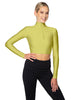 Solid Lycra LS Tneck Zipper Front Crop Top