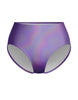Hologram High Rise Panty