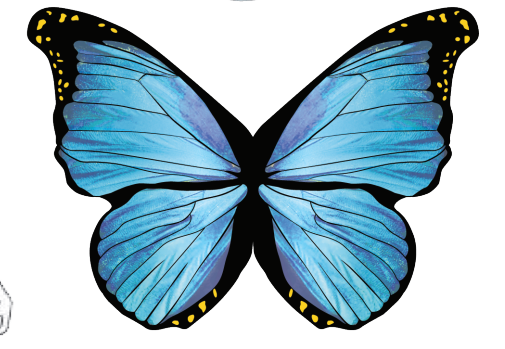 Custom Caterpillar Wings With Sticks